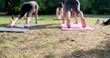 Kamera kaydı, bir grup insanın yoga çalışmasını ve çimlerin üzerinde bir kadın yoga ustasının köpek pozunu tekrarlamasını gösteriyor.
