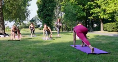 Bir grup insan yoga yapıyor ve çimlerin üzerinde bir kadın yoga ustasının yan plank pozunu tekrarlıyorlar.