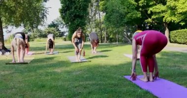 Bir grup insan çimlerin üzerinde yoga yapıyor ve kadın yoga ustasının hareketlerini tekrarlıyor.