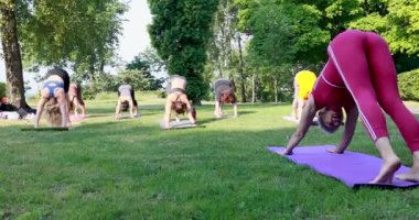 Bir grup insan çimlerin üzerindeki parkta yoga yapıyor ve bir kadın yoga uzmanının köpek pozundaki hareketlerini tekrarlıyor.