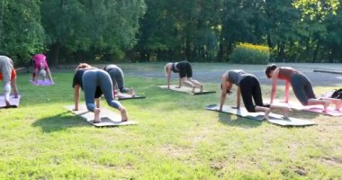 Bir grup insan parkta çim üzerinde yoga yapıyor ve kadın yoga ustası köpek pozu verdikten sonra tekrar ediyor.