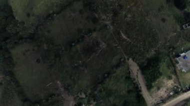 Andes, dağlar, Ecuador
