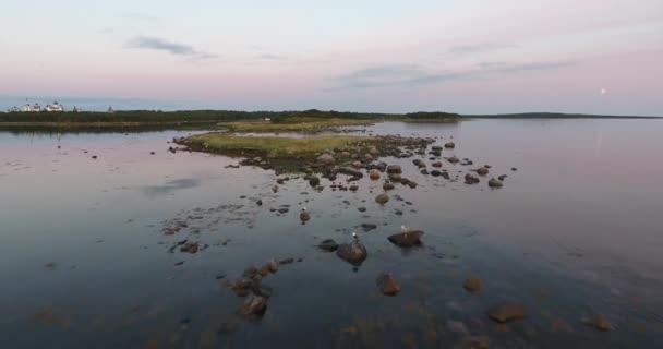 Vita havet kusten, Solovki öarna — Stockvideo