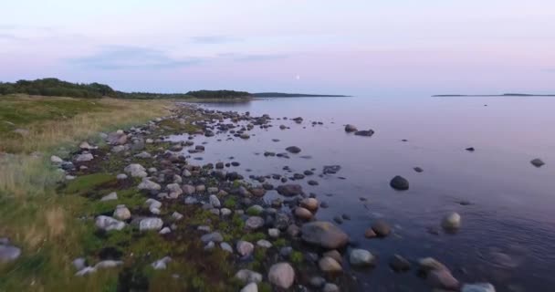 Vita havet kusten, Solovki öarna — Stockvideo