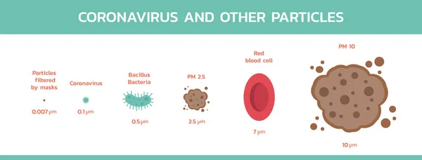 Koronavirus Další Částice Velikosti Infografie Zdravotní Péče Medicíny Bakterie Bacil — Stockový vektor