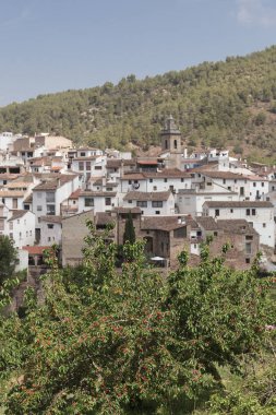 kiraz ağacı meyve ve içinde belgili tanımlık geçmiş Ain, Castelln, İspanya kısmi bir görünümünü tam ile yakın çekim