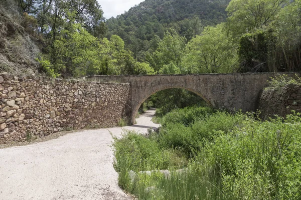 Bir Köprü Altındaki Bir Yol Castellon Spanya Bitki Örtüsü Ile — Stok fotoğraf