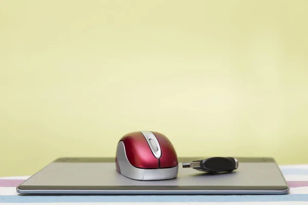 view of a wireless computer mouse, a graphics tablet and a connector