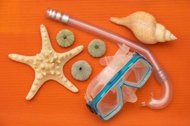 turuncu bir arka plana karşı birkaç deniz kabuklarını ve kabukları ve mavi dalış karşıtlığını gözlükler. Durum kinaye Akdeniz ve o kim onu küçük teknelerle geçmek deneyin. kan denizinde bir başvuru olabilir