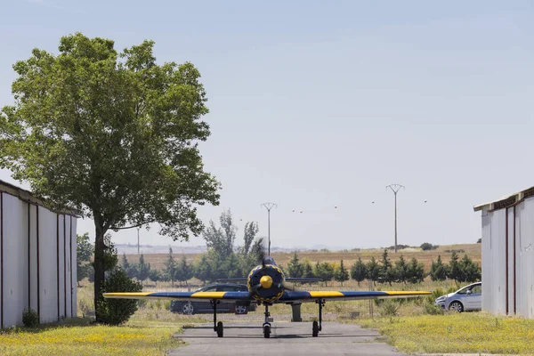 Cepheden Bir Portre Tek Motorlu Spor Tipi Uçaklarda — Stok fotoğraf