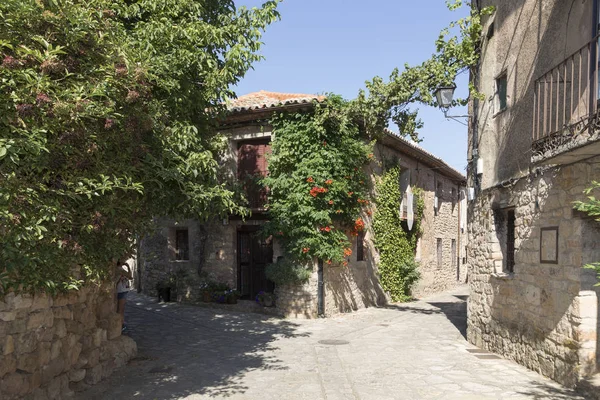 Street Arrives Crossroads Street Goes Out Either Side House Vegetation — Stock Photo, Image