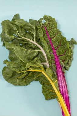 Chard Çiçek sapları sarı, pembe ve kırmızı renklerde olan yaprakları