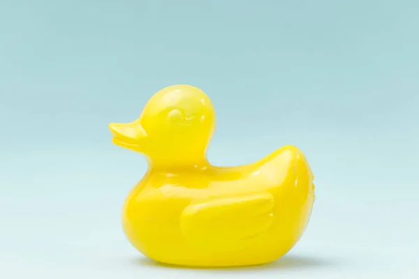 Duckling Babies Can Play Bathroom — Stock Photo, Image