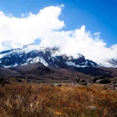 Tırmanışa başlarken kili Kilimanjaro Afrika 'nın en uzun dağı Tanzanya' da