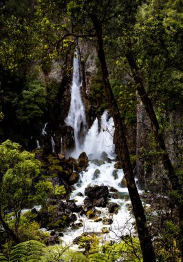 Kayalıklardaki ünlü delik Tarawera Şelalesi 'nden göl kenarındaki tarawera kampının yakınındaki yamaçtan akıyor.