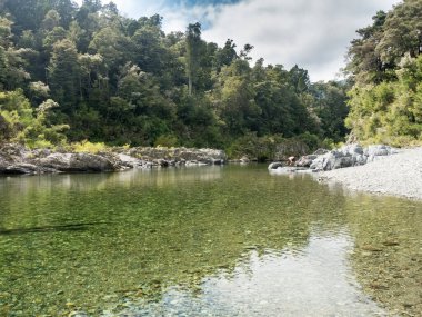 Yeni Zelanda çalılıklarında kristal berrak yüzme havuzu suyu