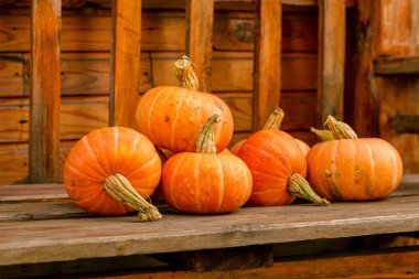 Tahta bir bankta turuncu balkabakları