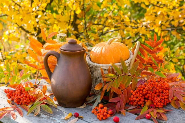 Kil sürahisi, balkabağı ve kızılcık içeren sonbahar kompozisyonu