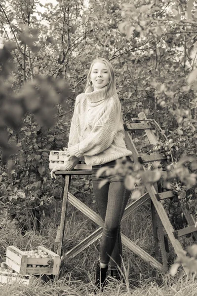 스웨터와 청바지를 미소짓고 소녀가 정원을 거닐면서 사과를 모은다 모노크롬 — 스톡 사진