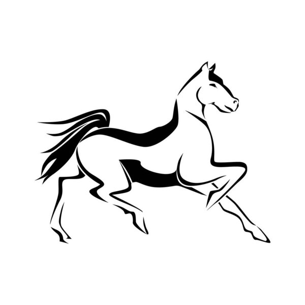 dancing horse illustration creative art