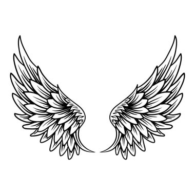 el çizimi kanat vektör illüstrasyonu