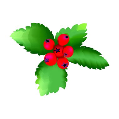 Beyaz arka planda Hawthorn. Raster illüstrasyonu.