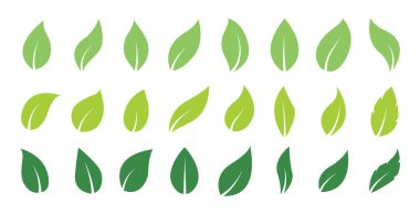 Green abstract leaf icons. Natural greens young plants pictograms and leaf or forest branch leaves. Vector isolated icons set. clipart