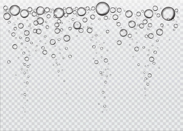 Realistic vector air bubbles. Water rain drops or air bubbles isolated on transparent background