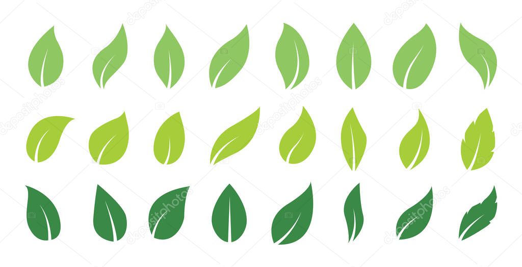 Green abstract leaf icons. Natural greens young plants pictograms and leaf or forest branch leaves. Vector isolated icons set.
