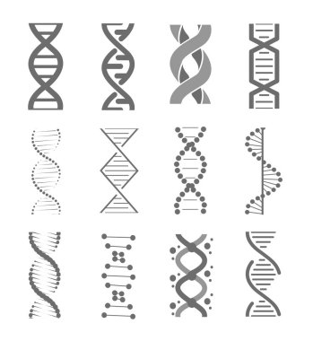 İnsan DNA 'sı araştırma teknolojisi sembolleri. Adn sarmal yapısı, genomik model ve insan genetik kodu. Vektör izole çizim seti.