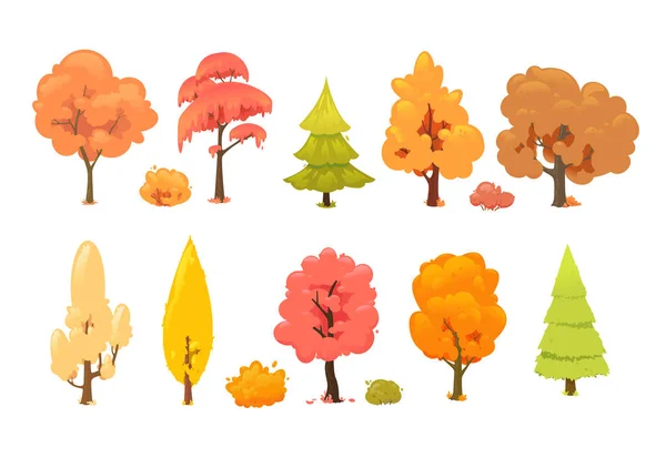 Colorful Autumn Trees Collection Autumn Trees Isolated White Background Cartoon — Stock Vector