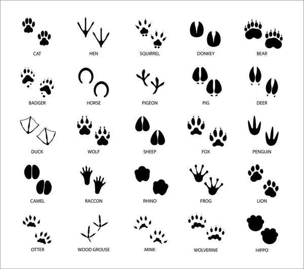 Empreintes Des Animaux Silhouette Pieds Animaux Piste Marche Pour Pattes — Image vectorielle