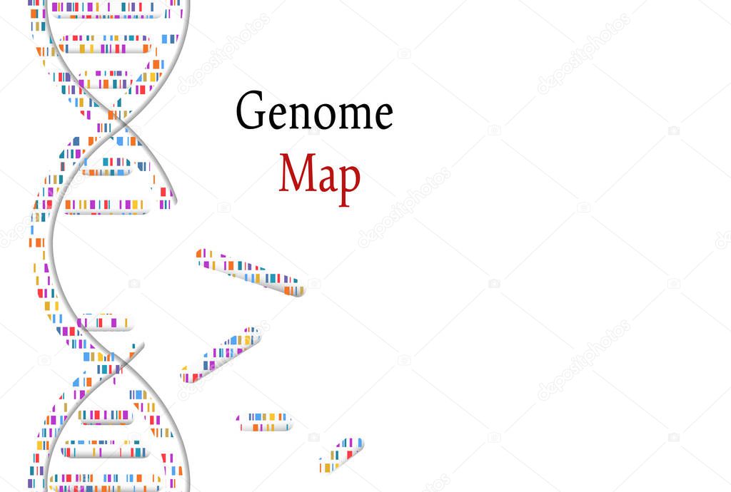 DNA test, genom map. Mosaic genome and distressed stamp seal with Genome phrase. Vector illustration