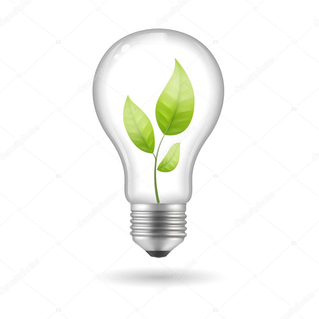 Realistic bulb with leaves inside. Eco concept. Vector