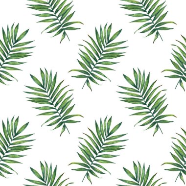 Hand painted watercolor palm  leaves seamless pattern on white. For wrapping paper, textiles, wallpaper and fabric. clipart