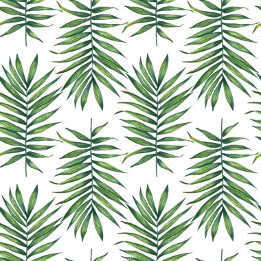 Hand painted watercolor palm  leaves seamless pattern on white. For wrapping paper, textiles, wallpaper and fabric. clipart
