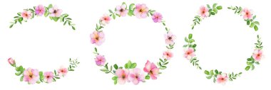 Beyaz arka planda pembe güller olan el yapımı suluboya çelenkler. Üç yuvarlak çerçeve seti.