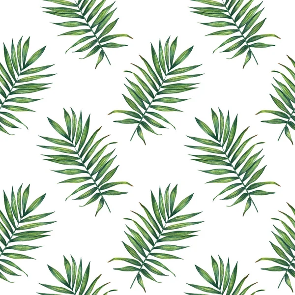 Hand painted watercolor palm  leaves seamless pattern on white. For wrapping paper, textiles, wallpaper and fabric.