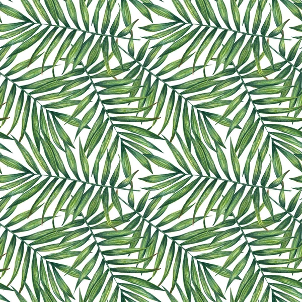 手绘水彩画的棕榈叶在白色上无缝花纹 包装纸 纺织品 墙纸和织物 — 图库照片