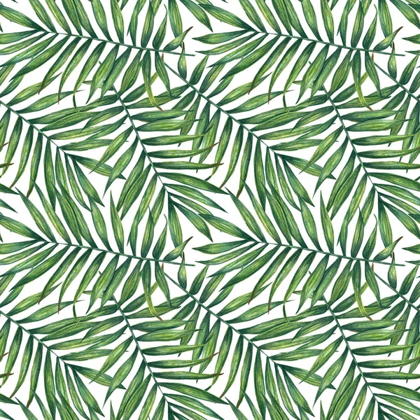 Hand painted watercolor palm  leaves seamless pattern on white. For wrapping paper, textiles, wallpaper and fabric.