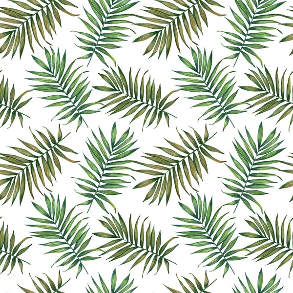 Hand painted watercolor palm  leaves seamless pattern on white. For wrapping paper, textiles, wallpaper and fabric.