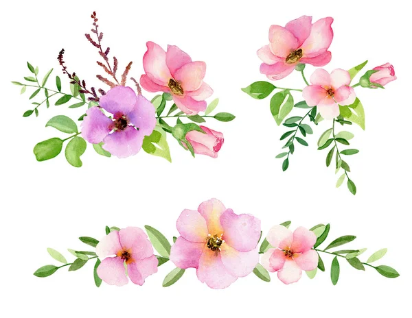 Set Rosa Canina Acquerello Disegnato Mano Rosa Rosa Fiori Foglie — Foto Stock