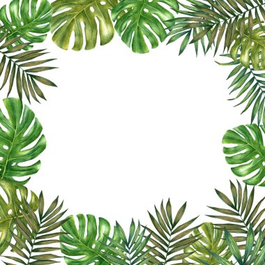 Suluboya tropikal yaprak çerçevesi. Renkli tropikal yapraklarla suluboya çerçeve kenarı.