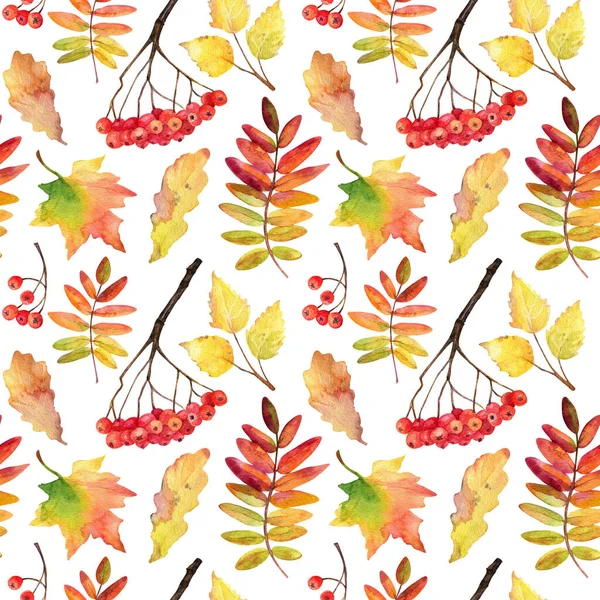 Autumn seamless pattern. Watercolor autumn leaves and bunches of rowan on white.