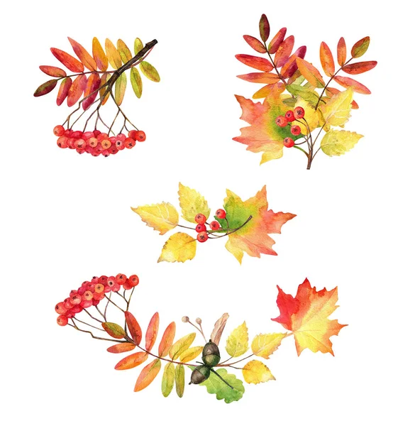 Watercolor Set Autumn Leaves Design — Stock Photo, Image