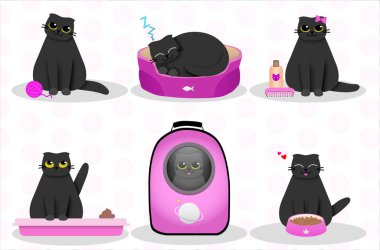 Kara kedi, maskot hayvan - sevimli şişman kedi, evcil hayvan dükkanı karakter seti. Bu komik vektör çizimi kedilerin günlük aktivitelerini gösteriyor. Evcil hayvan dükkanı dekorasyonu için iyi seçim.