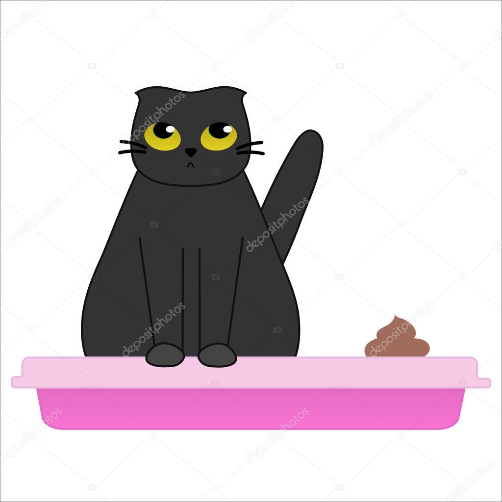 Cat in the litter box - cute black kitten sitting in pink plastic tray with poo. Cartoon vector illustration on white background