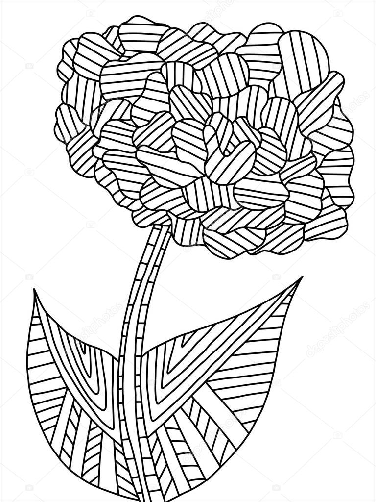 Flower on a stalk with two leaves coloring book page. Detailed blossom flower black outline isolated on white. Botany flower stock vector illustration. Contour green for kids and adults home pastime.