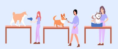 Yıkama köpekleri, saç kesimi ve kurutma köpekleri, vektör grafikleri