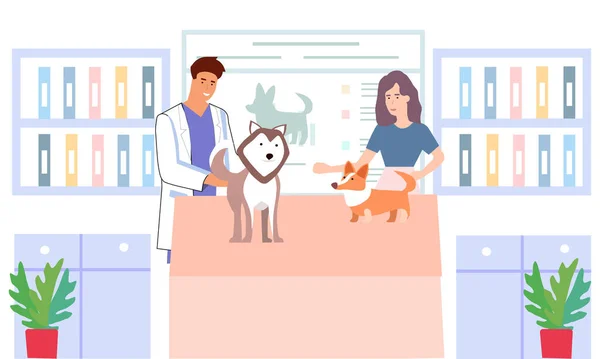 Clínica Veterinaria Los Médicos Examinan Perros Vector Gráficos — Archivo Imágenes Vectoriales